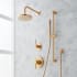 Signature Hardware Lexia Pressure Balanced Shower System with Rainfall Shower Head, Hand Shower, Slide Bar, Shower Arm, Hose, and Valve Trim - Accufit Rough-In Valve Included Brushed Gold