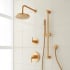 Signature Hardware Drea Pressure Balanced Shower System with Rainfall Shower Head, Hand Shower, Slide Bar, Shower Arm, Hose, and Valve Trim - Accufit Rough-In Valve Included Brushed Gold