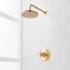 Signature Hardware Elita Pressure Balanced Shower Only Package with Rainfall Shower Head and Cross Handle - Accufit Rough-In Valve Included Brushed Gold