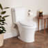Signature Hardware Millspring 1 GPF Two Piece Elongated Toilet White / Brushed Nickel Lever