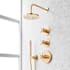 Signature Hardware Vassor Thermostatic Shower System with Rainfall Shower Head, Hand Shower, Shower Arm, Hose, and Valve Trim - Rough-In Valve Included Brushed Gold