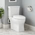 Signature Hardware Carraway 1.28 GPF Two Piece Elongated Toilet - Bidet Seat Included, ADA Compliant White