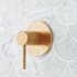 Signature Hardware Lexia Volume Control Trim - 3/4" Rough In Valve Included Brushed Gold
