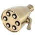 Speakman Icon 1.75 GPM Multi Function Shower Head Aged Brass