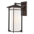 The Great Outdoors Addison Park 1 Light 16" Tall Outdoor Wall Sconce with Etched Opal Glass Dorian Bronze