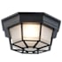 Trans Globe Lighting Single Light Down Lighting Flush Mount Ceiling Fixture from the Outdoor Collection Black