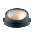 Trans Globe Lighting Allegra 8" Tall Outdoor Wall Sconce Black