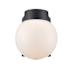 Trans Globe Lighting Single Light Down Lighting Outdoor Wall Sconce from the Outdoor Collection Black