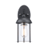 Trans Globe Lighting Blues Single Light 13-1/2" Tall Outdoor Wall Sconce Black / Brushed Nickel