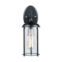 Trans Globe Lighting Blues Single Light 15-1/2" Tall Outdoor Wall Sconce Black / Brushed Nickel