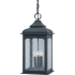 Finish: Colonial Iron Incandescent