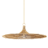 Troy Lighting Costa Mesa 50" Wide Wood Pendant Vintage Gold Leaf