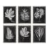 Uttermost Botanical 25-3/4" Wide Canvas Art by Grace Feyock Champagne Silver
