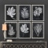 Uttermost-33671-Gallery Image