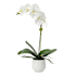 Uttermost Cami Orchid 24" Tall Ceramic Faux Flora Planter White