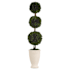 Uttermost Preserved Boxwood 33-1/2" Tall Terracotta Faux Flora Planter Chalk White