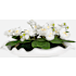 Uttermost Opulence Orchid 12" Tall Ceramic Faux Flora Planter Matte White