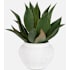 Uttermost Tierra Agave 24" Tall Ceramic Faux Flora Planter Off-White