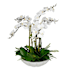 Uttermost Flourish Orchid 36" Tall Rice Stone Faux Flora Planter White