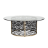 Varaluz Kato Wide Glass and Steel Coffee Table Havana Gold / Carbon