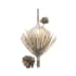 Varaluz Pinion 12" Tall Wall Sconce Zen Gold