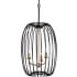 Varaluz Nico 3 Light 14" Wide Multi Light Pendant Carbon
