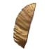Varaluz Banana Leaf 3 Light 25" Tall Wall Sconce Gold
