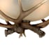 Alternate Image