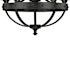 Alternate Image
