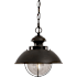 Vaxcel Lighting Harwich 1 Light Outdoor Pendant Burnished Bronze