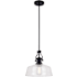 Vaxcel Lighting Beloit 12" Wide Pendant Matte Black