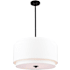 Vaxcel Lighting Burnaby 21" Wide 4 Light Drum Pendant Black