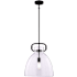Vaxcel Lighting Madrona 14" Wide Pendant with Clear Glass Shade Black