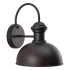 Oil Burnished Bronze