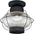 Vaxcel Lighting Chatham 1 Light Semi-Flush Mount Outdoor Ceiling Fixture with Clear Seeded Glass Shade and Metal Guard - 13 Inches Wide Textured Black