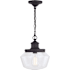 Vaxcel Lighting Collins Single Light 10" Wide Pendant Matte Black