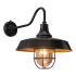 Dark Bronze and Light Gold