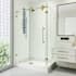 Vigo Winslow 80" High x 48" Wide x 36" Deep Sliding Frameless Shower Enclosure with Clear Glass Matte Brushed Gold