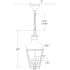 CHO5160 Line Drawing