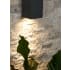 Tech Lighting-700OWTEG812DOUNV-Gallery Image