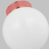 Alternate Image