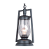 Volume Lighting Single Light 9" Wide Outdoor Mini Pendant with Twisted Clear Glass Antique Bronze