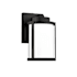 WAC Lighting Lantern 10" Tall LED Outdoor Wall Sconce Black