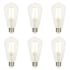 Westinghouse Pack of (6) 13 Watt Dimmable ST20 Medium (E26) LED Bulbs- 1600 Lumens, 2700K, and 90CRI Clear