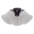 Westinghouse 3 Light 12-3/4" Wide Light Kit Oil Rubbed Bronze