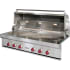 Finish: Wolf 51000 BTU 54 Inch Wide Natural Gas Built-In Grill Stainless Steel