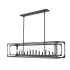 Z-Lite Easton 13 Light 54" Wide Linear Chandelier Matte Black