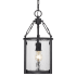 Z-Lite Barrington 9" Wide Pendant Matte Black