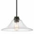Z-Lite Annora 14" Wide Pendant Olde Bronze