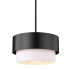 Z-Lite Counterpoint 12" Wide Pendant Matte Black